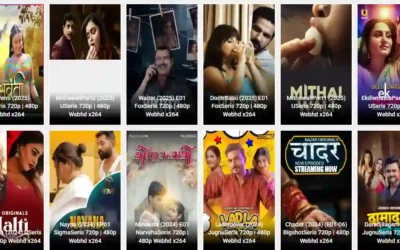 Understanding 1 1filmy4wap and Safer Movie-Streaming Alternatives 1filmy4wap new site